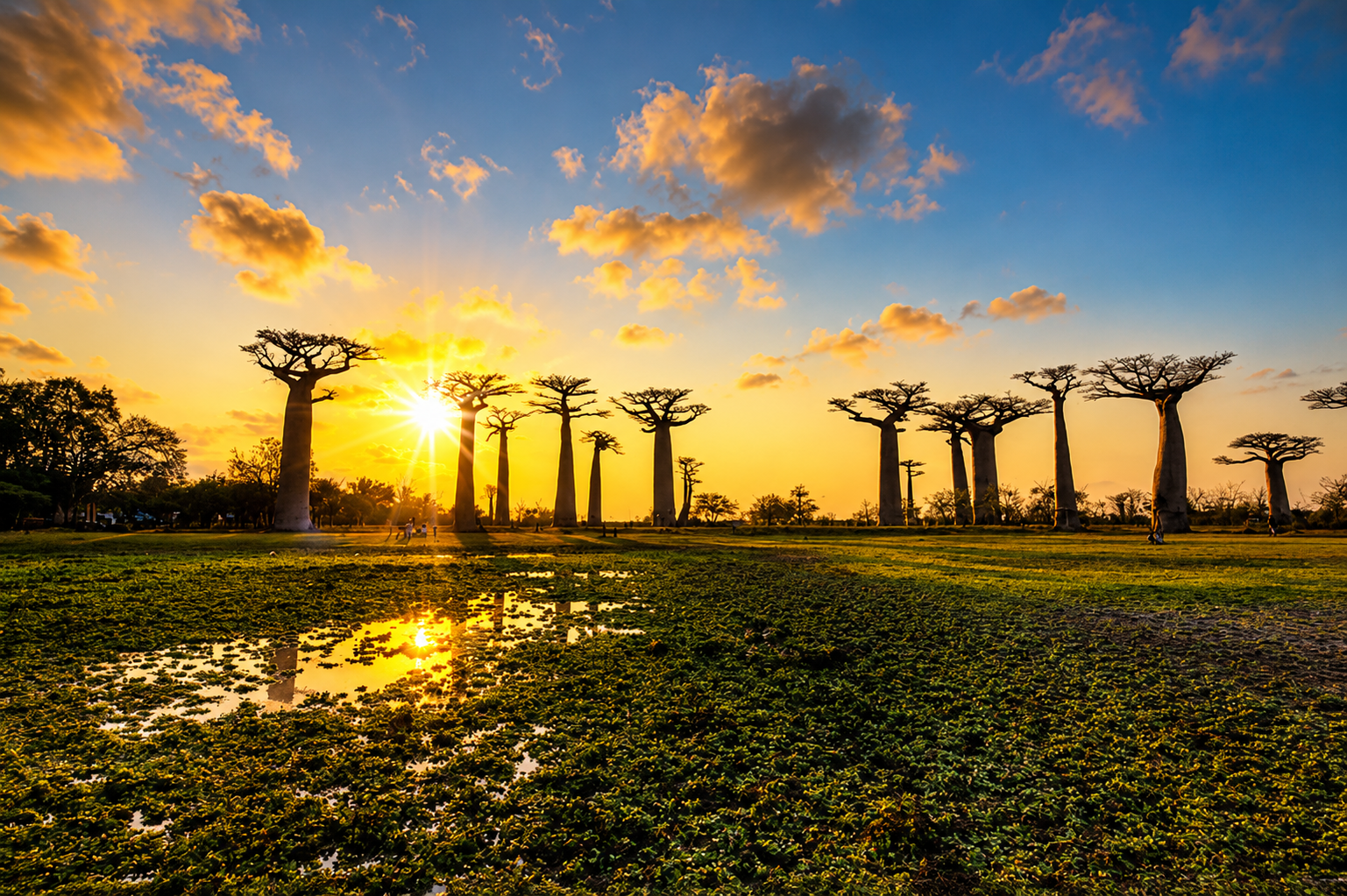 Madagascar